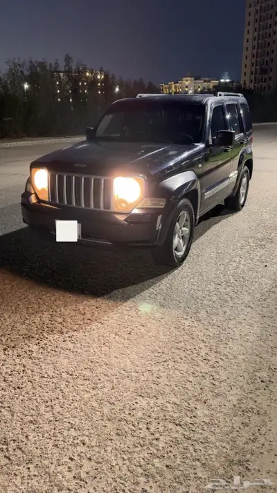 شروكي ليبرتي 2012 index