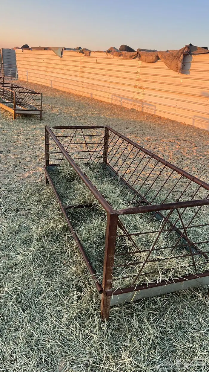 علف حرض رودس مخزن 3