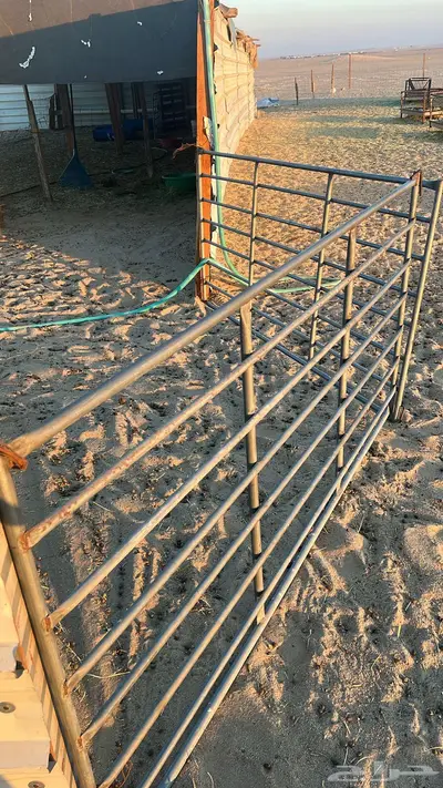 علف حرض رودس مخزن index