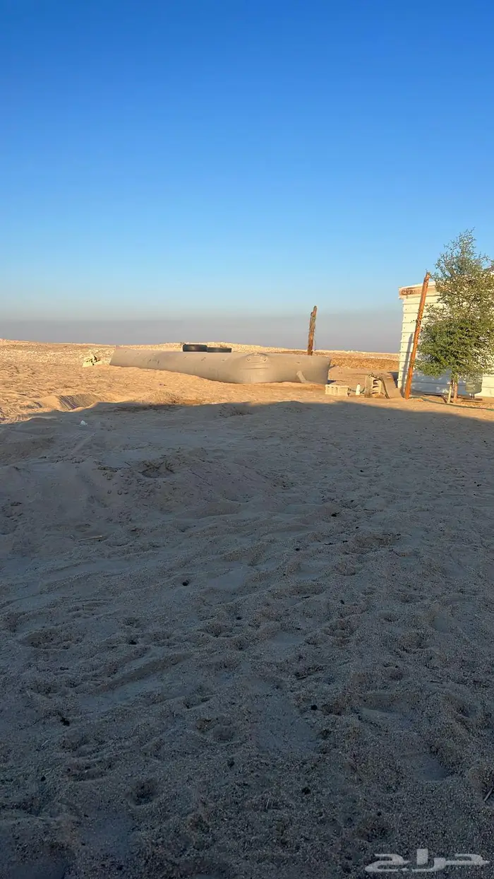 علف حرض رودس مخزن 7