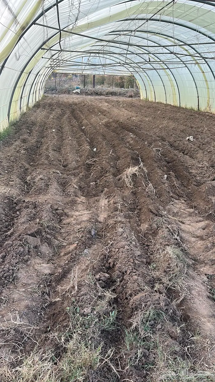 بيوت محمية 2