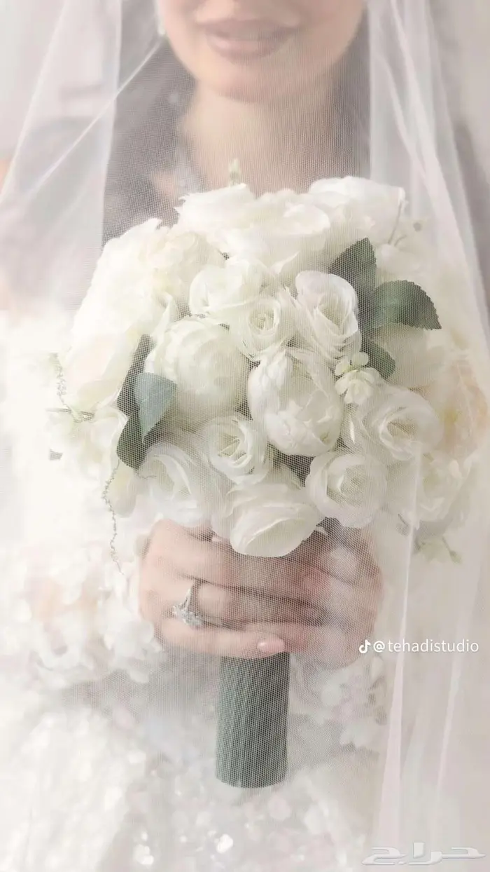 مصورة عرايس 0