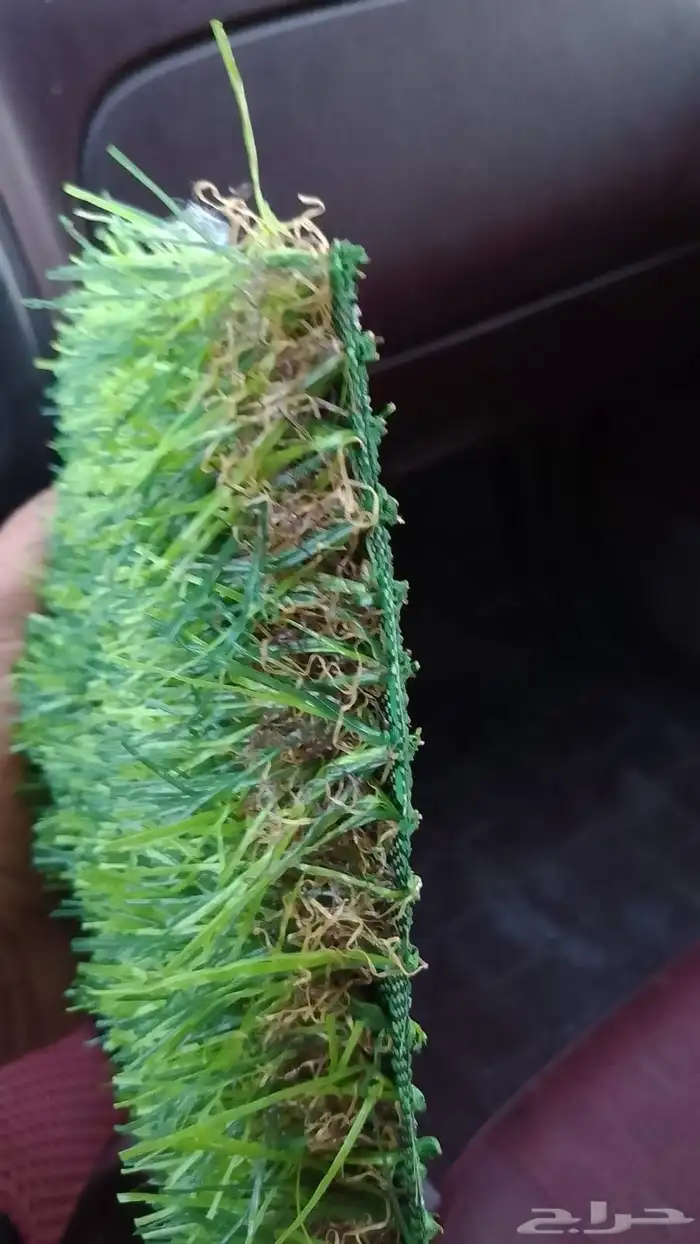 انجيلا صناعي ثيل صناعي 7