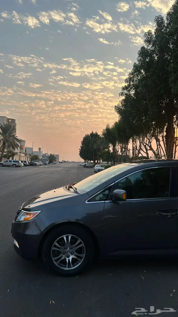 اودسي للبيع 2013 11