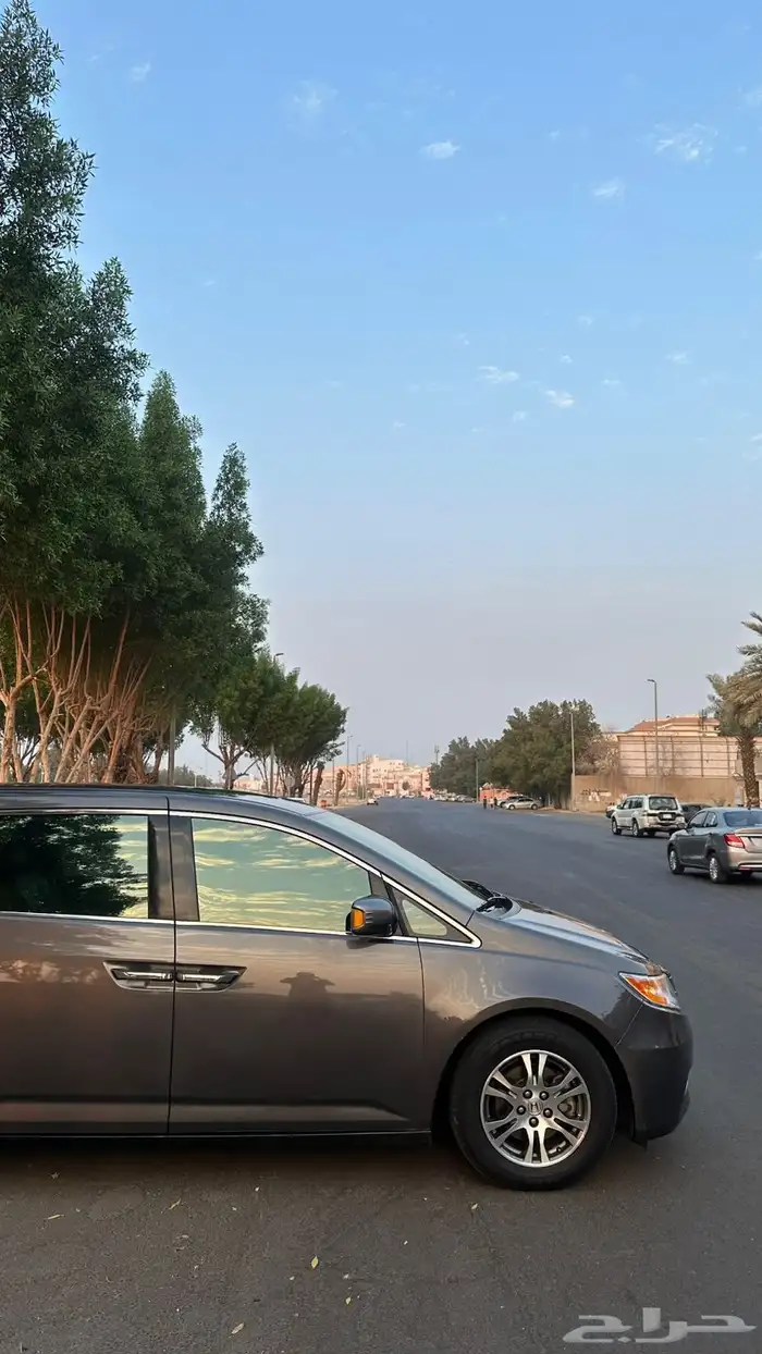 اودسي للبيع 2013 8