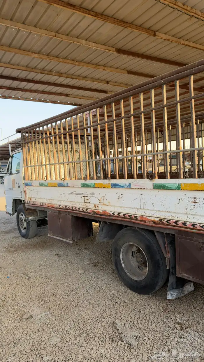 للبيع دينا ايسوزو 6