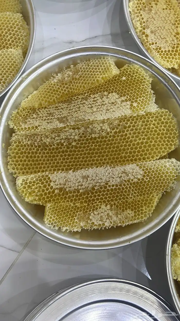 عسل شمع سدر 1447 2