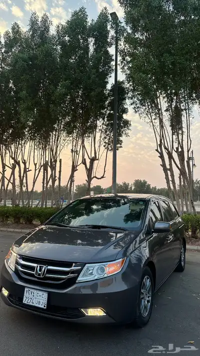 اودسي للبيع 2013 index