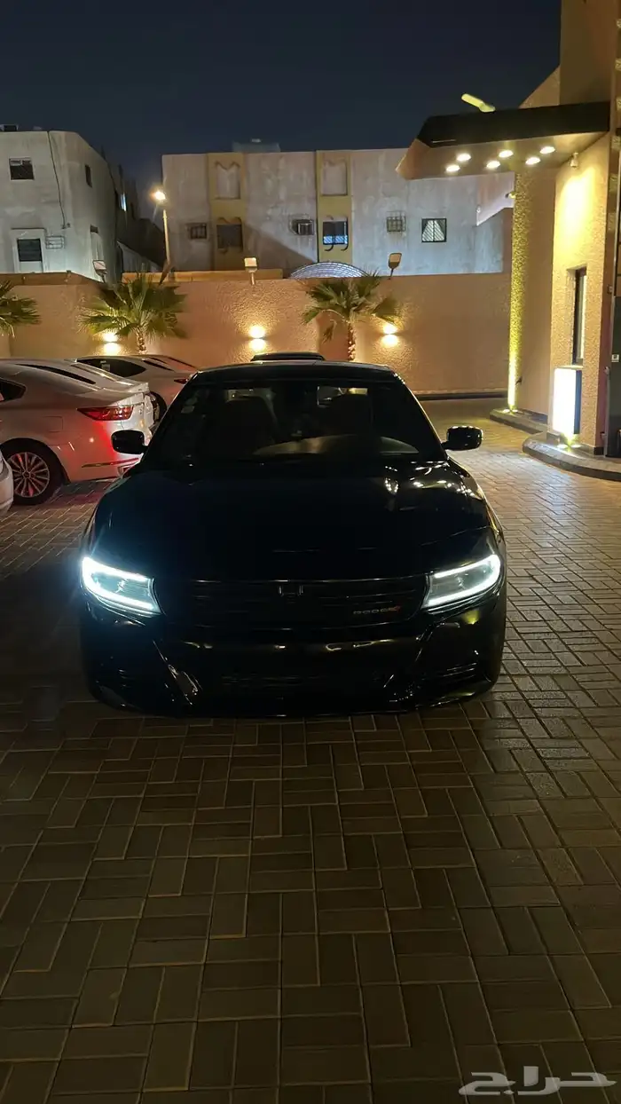 دوج للبيع او البدل 6