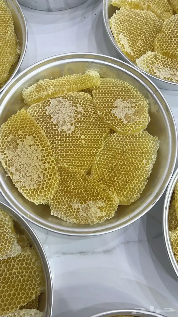 عسل شمع سدر 1447 1