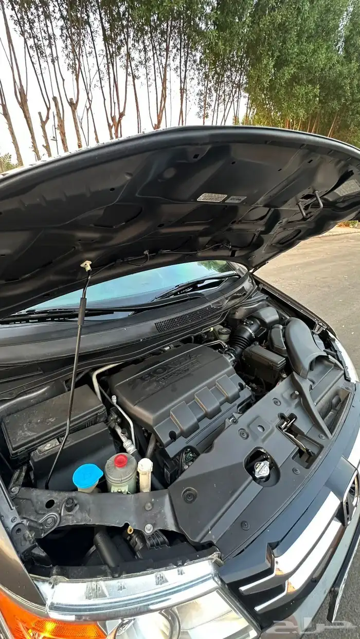 اودسي للبيع 2013 10