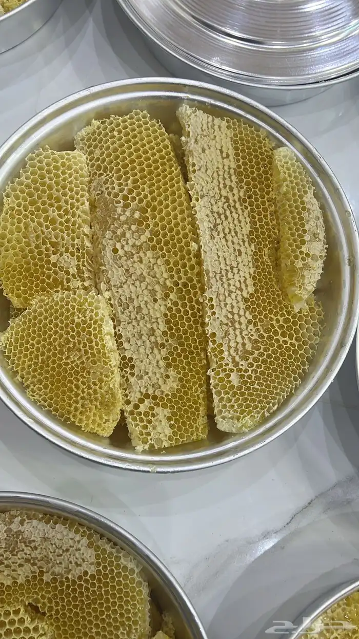 عسل شمع سدر 1447 0