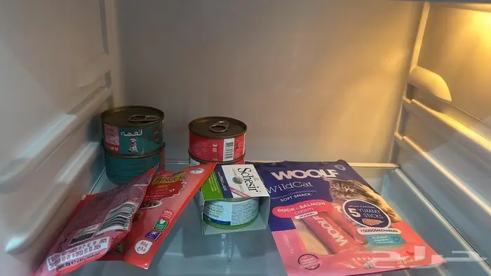 قطة اسمها كرميلا 1