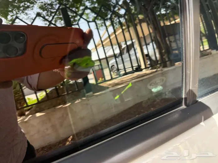 فورد توروس تتانيوم بانوراما أعلى فئة 11