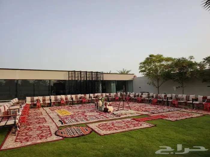 كنب وكراسي للأيجار 8