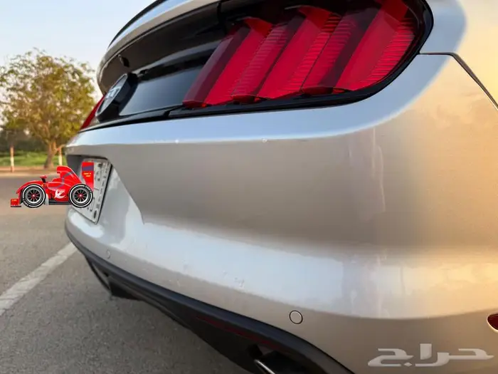 موستنق 2016 للبيع 5