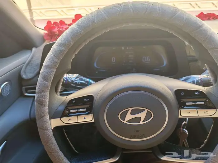 هيونداي النترا 2024 شبح جمجمة سباق الموت 19