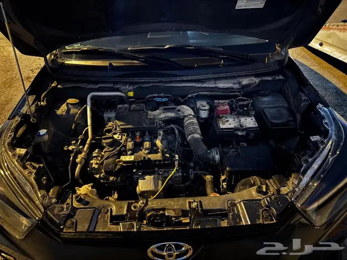 رايز 2023 مصدوم 22