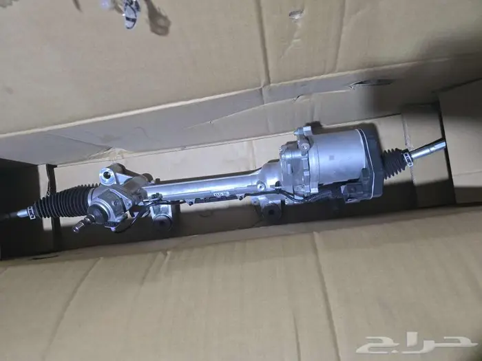 دودة دركسون كراون 2024 1