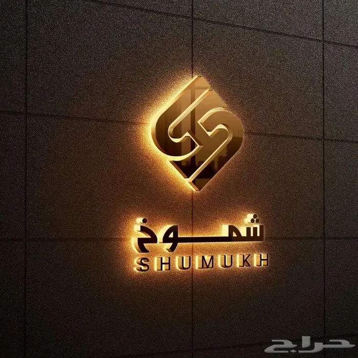 تصميم شعار هوية بصرية احترافية - لوجو 5