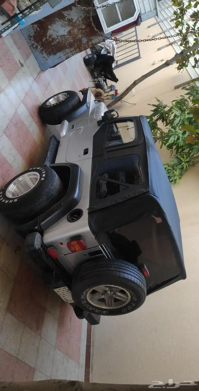 جنوط شبه جديده بلمعات الوكاله 12انش 2