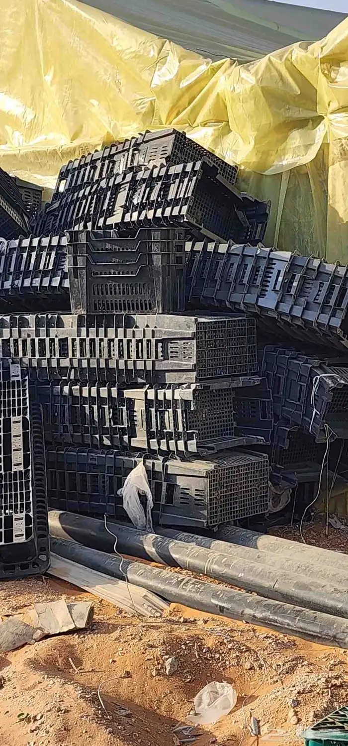 للبيع صناديق خضار تالفه اكثر من الفين صندوق 0