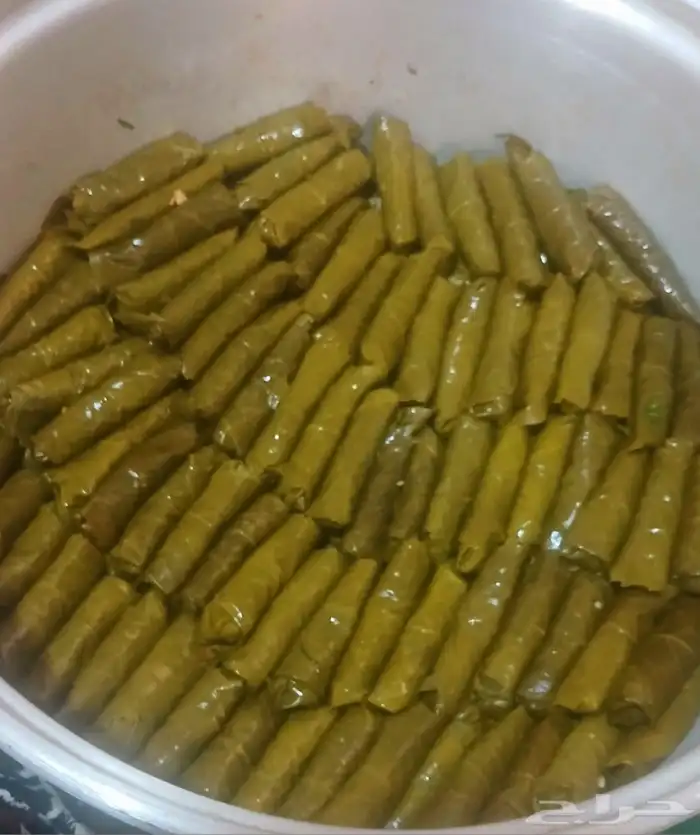 ورق عنب ملفوف وكبه اسعارنا غير احلي ورق عنب ملفوف 1
