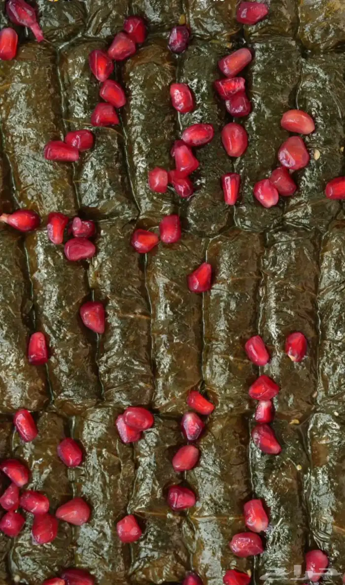 ورق عنب فريش يوم بيوم وملفوف وكبه 2