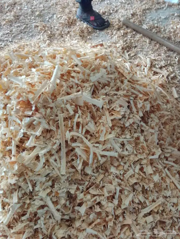 نشارة خشب نظيفه جدا 1