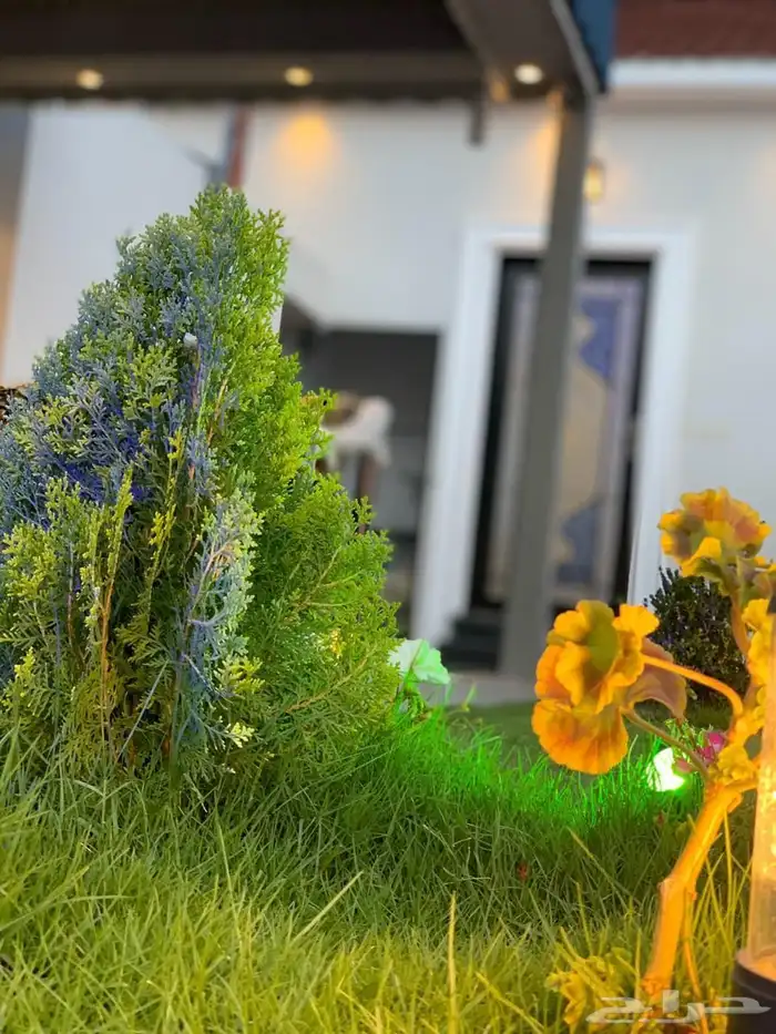 استراحة الفخامة بالعرفاء 22