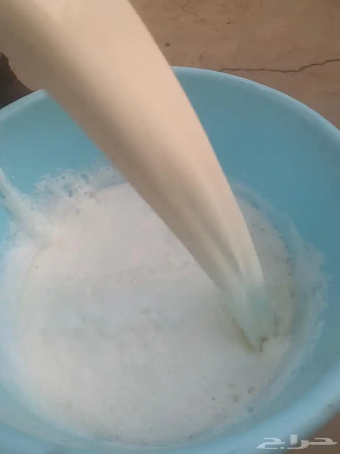 حليب ماعز 0