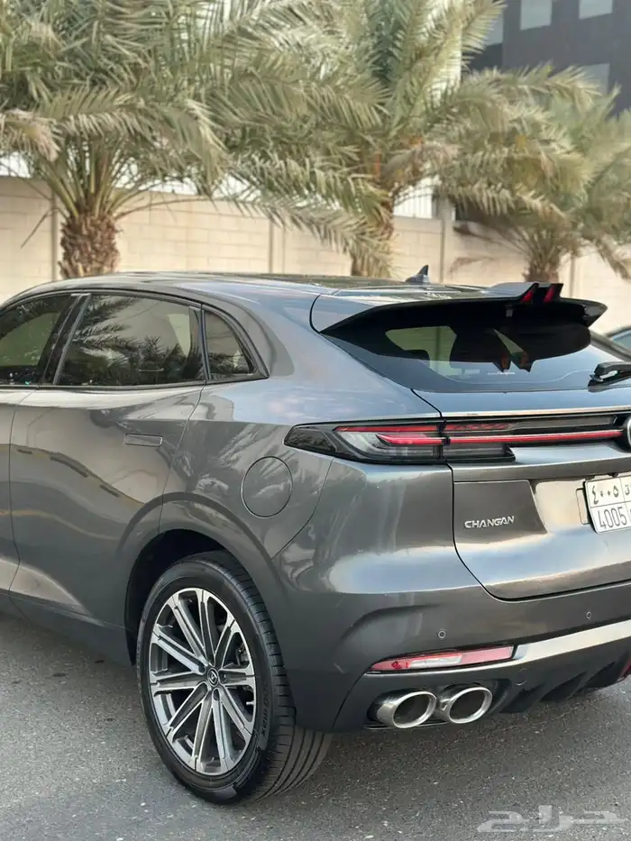 شانجان يوني كي 2023 12