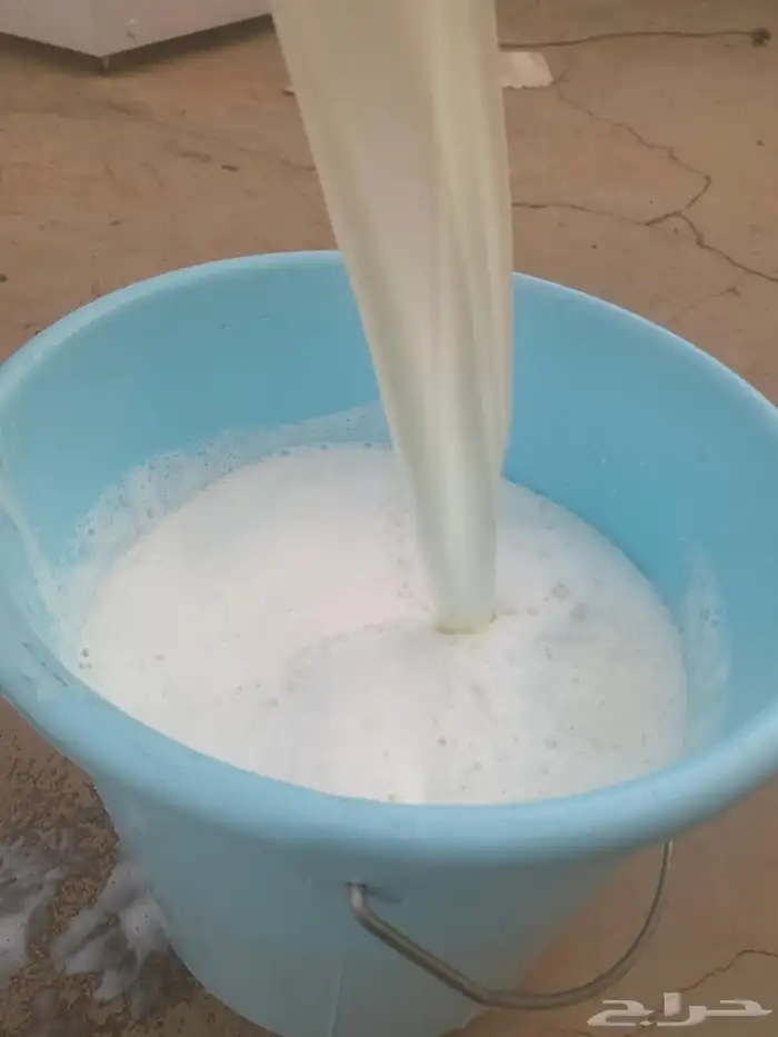 حليب ماعز 1