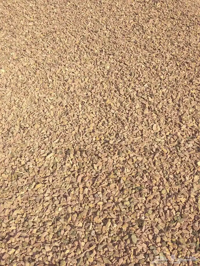 رمل احمر الفريش 14