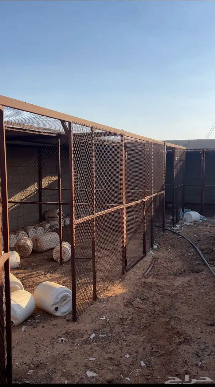 شبك حمام نضام عشش للبيع 0