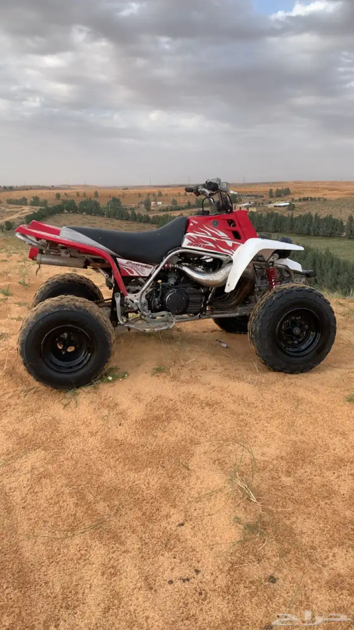 بانشي للبيع 2