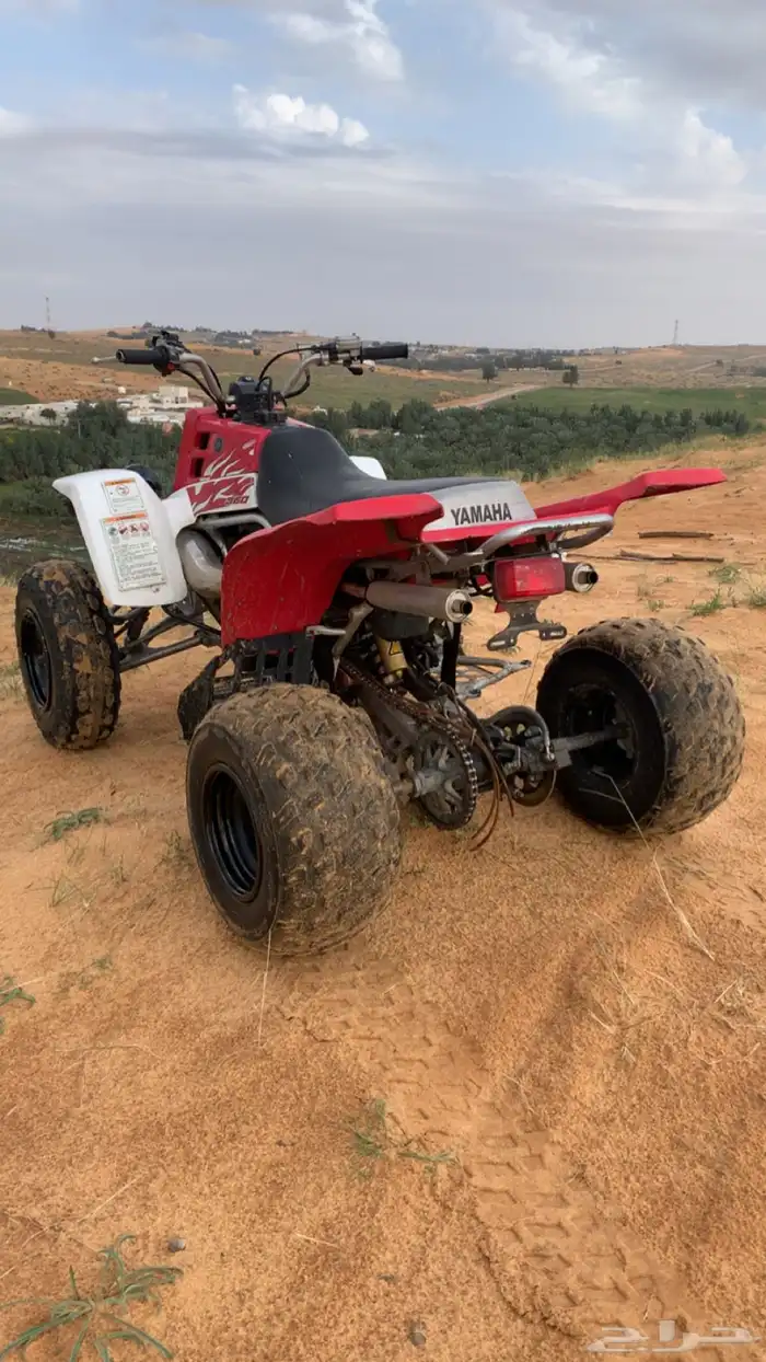 بانشي للبيع 1