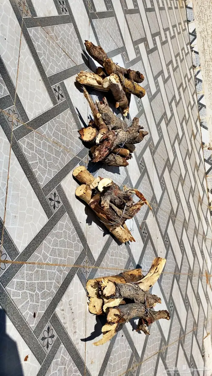 حطب شاهي الجمر 2