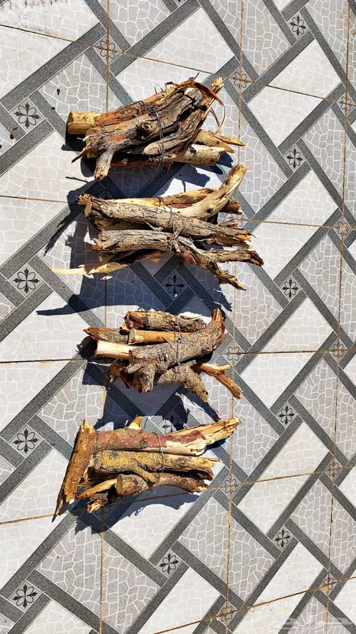 حطب شاهي الجمر 1