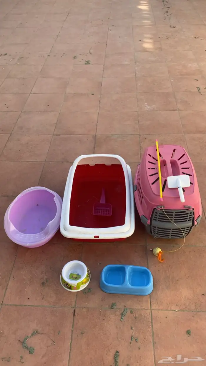 مستلزمات القطط 0