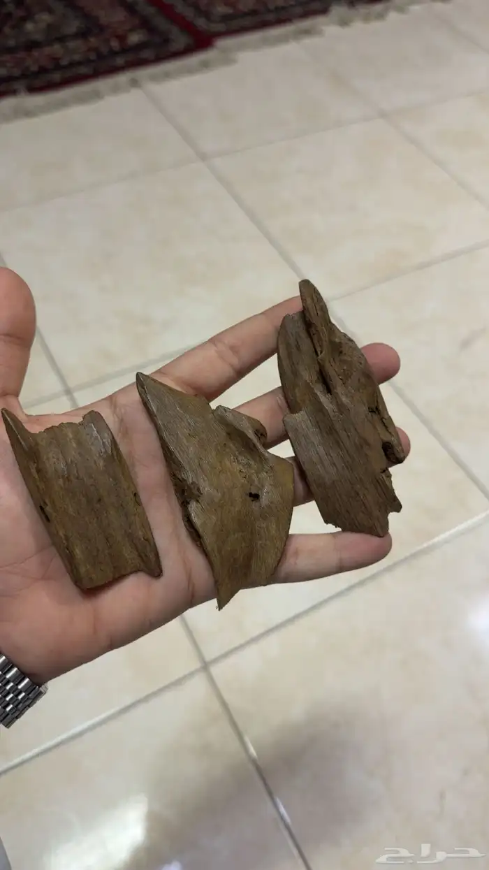 مروكي آصقون مفروز نقوة تربل ودبل 1