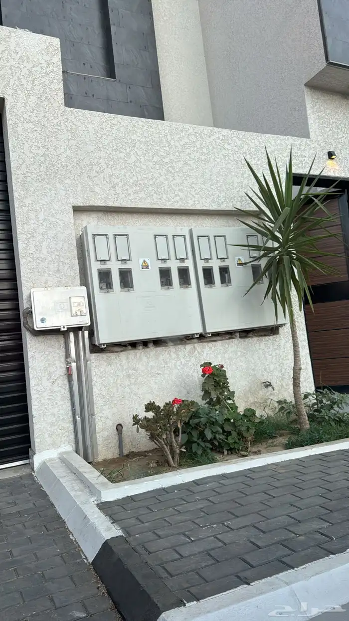 ابغالي روف 0