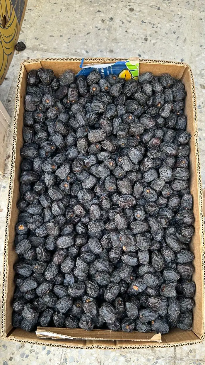 تمور عجوة وصفاوي فاخرة 0