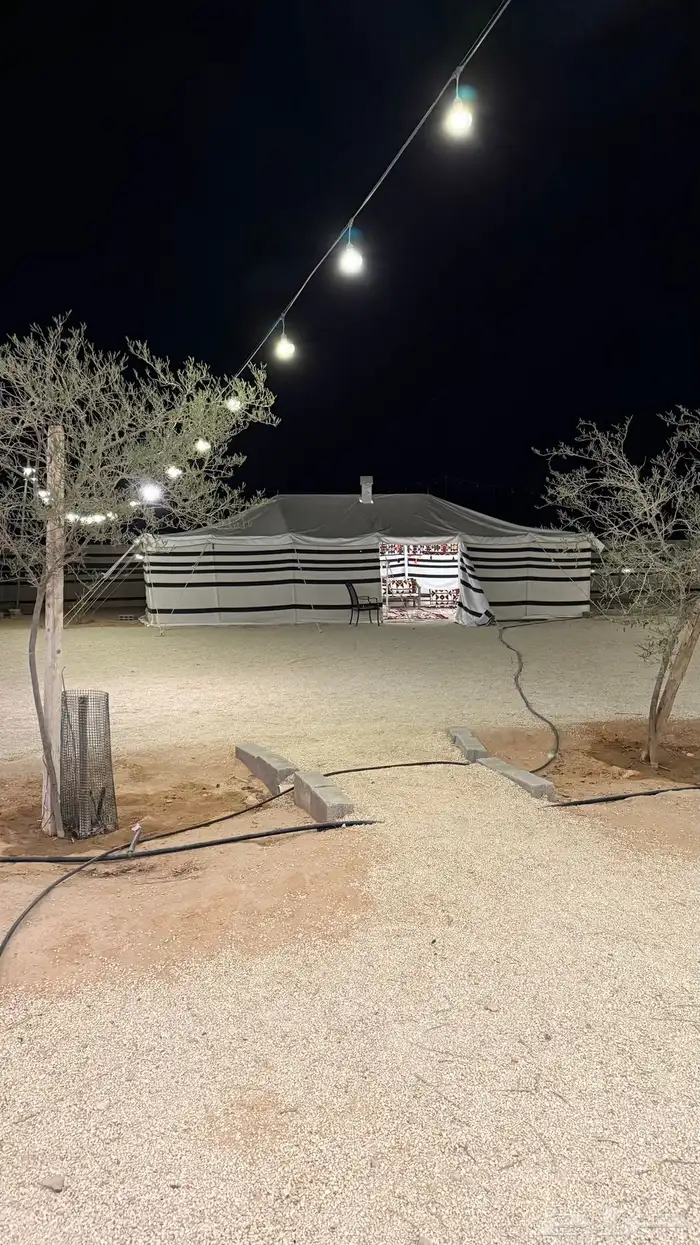 مخيم واحة السدر للإيجار اليومي رقم 2 6