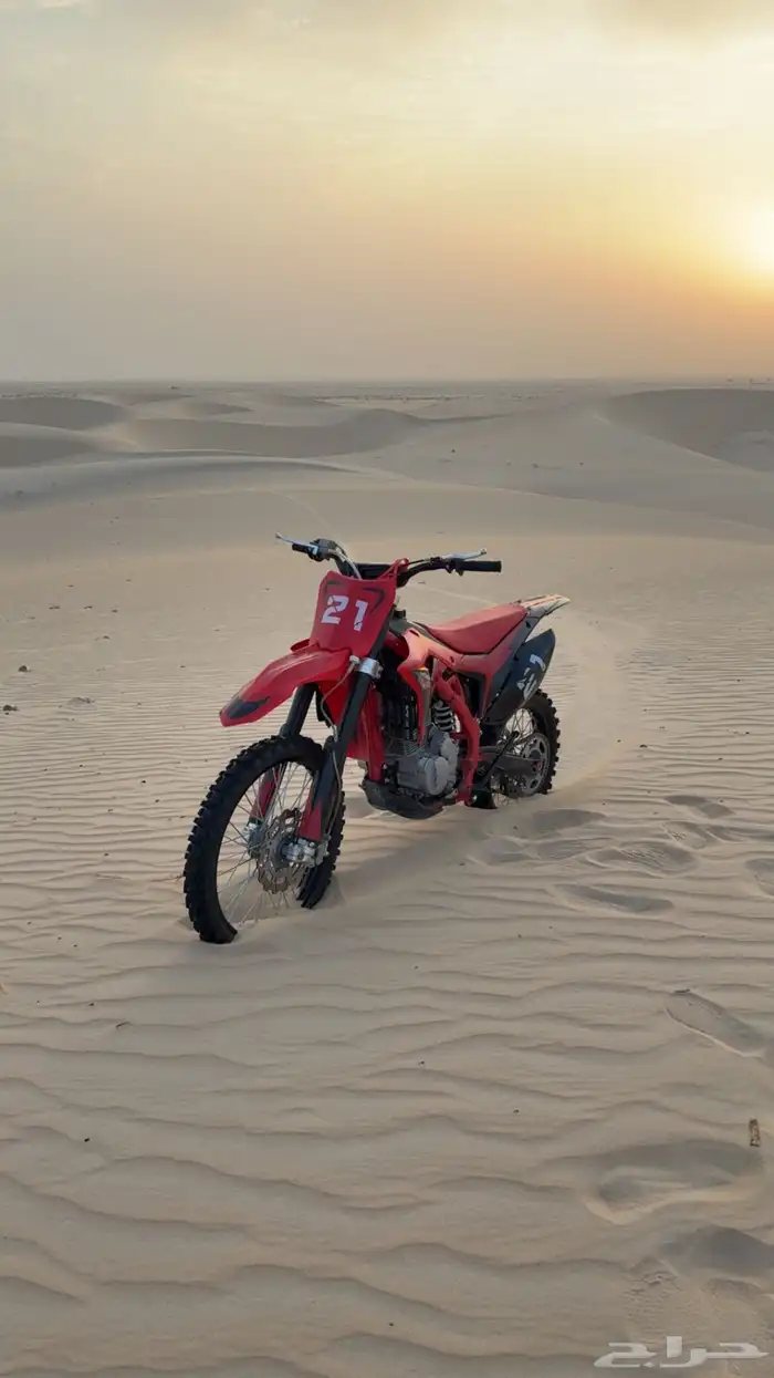 صحراوي مهدي موديل 24 1