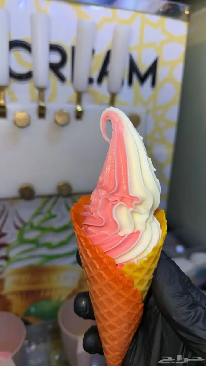 للبيع او للأيجار سيارت ايسكريم 2011 7