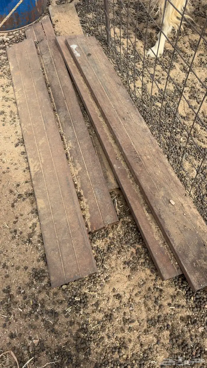 شد ددسن غمارتين 0