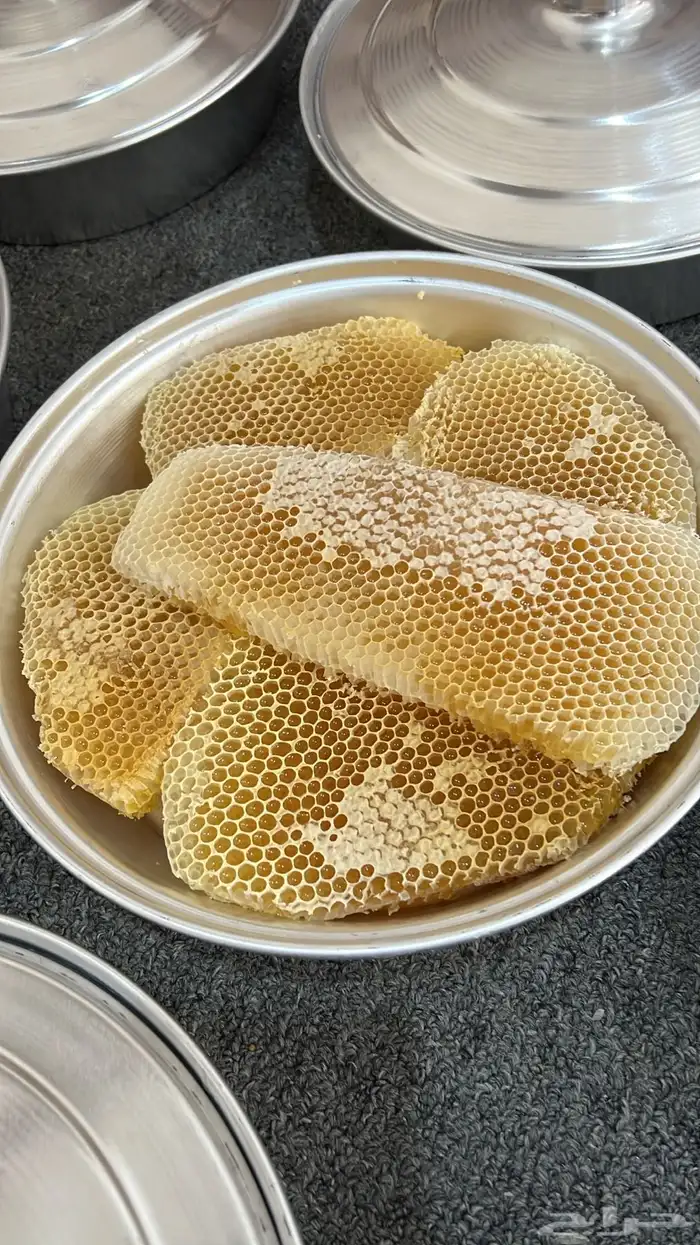 عسل سدر مضمون 0