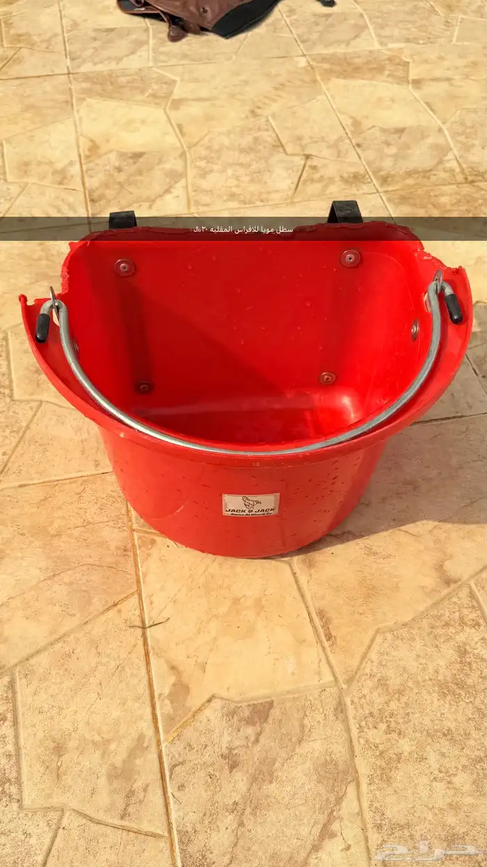 عدة خيل لجام   صدريه   سرج   زينه   شكايم 3