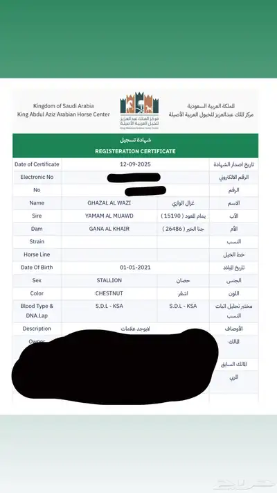 حصان واهو فاخر البيع مستعجل index